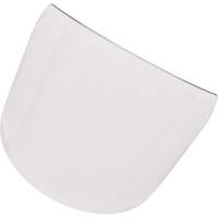 Visi&egrave;re standard pour casque PB Rental Co. Ltd.
