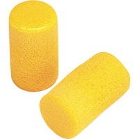 E-A-R Classic Earplugs, Pair - Pillow Pack, Large PB Rental Co. Ltd.