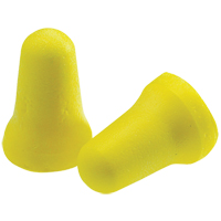 E-A-R E-Z-Fit Earplugs, Bulk - Polybag, Small PB Rental Co. Ltd.