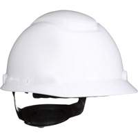 SecureFitH-700 Hardhat, Meets CSA Type 1, Ratchet Suspension, Non-Vented PB Rental Co. Ltd.