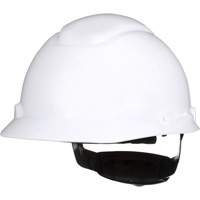 SecureFitH-700 Hardhat, Meets CSA Type 1, Ratchet Suspension, Non-Vented PB Rental Co. Ltd.