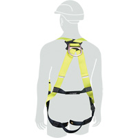 H1OO Harness, Medium/Small, 420 lbs. Cap. PB Rental Co. Ltd.