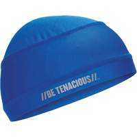 Chill-Its 6632 Cooling Skull Cap, Blue PB Rental Co. Ltd.