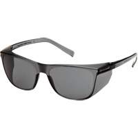 Lunettes de s&eacute;curit&eacute; Legacy, Lentille Gris, Antibu&eacute;e, ANSI Z87+/R&eacute;pond ou surpasse la norme CSA Z94.3 PB Rental Co. Ltd.