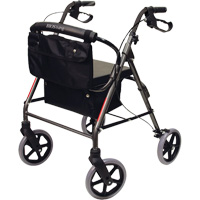 Folding Rollator PB Rental Co. Ltd.