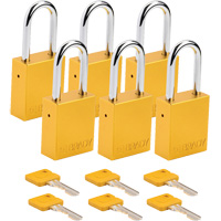 Cadenas de s&eacute;curit&eacute;, Cadenas de s&eacute;curit&eacute;, Cl&eacute;s diff&eacute;rentes, Aluminium, Largeur de 1-1/2" PB Rental Co. Ltd.