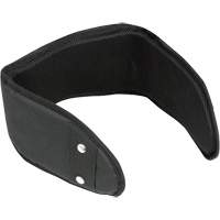 WB-6006 Support lombaire rembourr&eacute; pour ceinture - Universel PB Rental Co. Ltd.