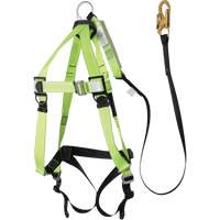 FBH-10000A5440-4 Harnais & longe classe A de 4' avec capacit&eacute; de 220 lb, Combinaison harnais/longe PB Rental Co. Ltd.