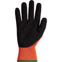Gants d'hiver r&eacute;sistants &agrave; la coupe Dexterity TKTAGLX, Taille Petit, Calibre 13, Rev&ecirc;tement Latex, Enveloppe en TenActiv, ASTM ANSI niveau A3 PB Rental Co. Ltd.