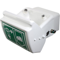 Douche oculaire/faciale, Installation Montage mural, Bol Plastique PB Rental Co. Ltd.