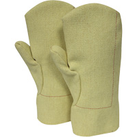 NSA  Thermobest Extreme Heat Lined Mitten, Aramid/Fibreglass/Nomex&reg;, Protects Up To 1000° F (537.8° C) PB Rental Co. Ltd.