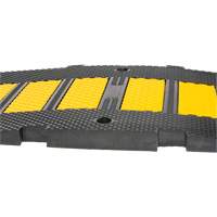 Dos d'&acirc;ne central, Caoutchouc, 2' lo x 8" la x 1-1/4" h PB Rental Co. Ltd.