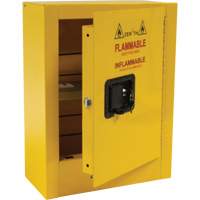 Mini Flammable Safety Cabinet, 2 Gal., 1 Door, 17" W x 22" H x 8" D PB Rental Co. Ltd.