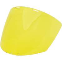 Yellow Visor PB Rental Co. Ltd.