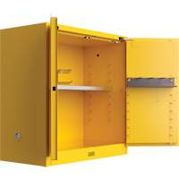 Utili-Guard+ Flammable Safety Cabinet, 30 gal., 1 Door, 43" W x 44" H x 22" D PB Rental Co. Ltd.