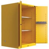 Utili-Guard+ Flammable Safety Cabinet, 45 gal., 2 Door, 43" W x 65" H x 22" D PB Rental Co. Ltd.