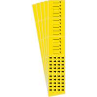 Marqueurs de tuyau avec espace vierge suivi du symbole °F , Autocollant, 2-1/4" h x 14" la, Noir sur jaune PB Rental Co. Ltd.