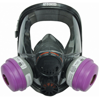 North&reg; 7600 Series Full Facepiece Respirator, Silicone, Large/Medium/Medium/Large PB Rental Co. Ltd.