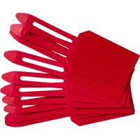 &eacute;tiquettes de cadenassage vierges en plastique, Plastique, 3-1/4" la x 5-4/5" h, Vierge PB Rental Co. Ltd.