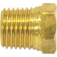 Pipe Plug (Hex Head), 1/2" Dia., Brass PB Rental Co. Ltd.