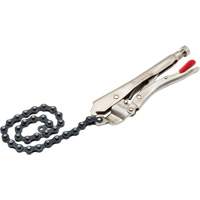 Locking Chain Clamp with Chain PB Rental Co. Ltd.