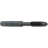 Taraud &agrave; entr&eacute;e h&eacute;licoidale, Acier rapide au cobalt, Filet de 8-32, 2-1/8" l PB Rental Co. Ltd.