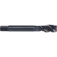 Taraud &agrave; cannelure en spirale 45°, Acier rapide au cobalt, Filet de 3/4"-10, 4-1/4" l PB Rental Co. Ltd.