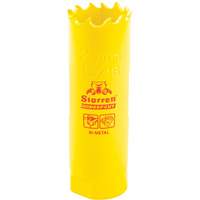 Scie &agrave; cloche bim&eacute;tal 13/16", 13/16", Profondeur de la coupe 2", Bim&eacute;tal PB Rental Co. Ltd.