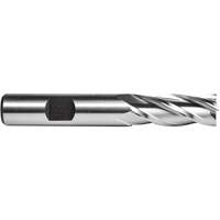C615 End Mill, 1/4" Dia., 4 Flutes, High Speed Steel PB Rental Co. Ltd.