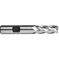 C618 End Mill, 1" Dia., 4 Flutes, High Speed Cobalt PB Rental Co. Ltd.