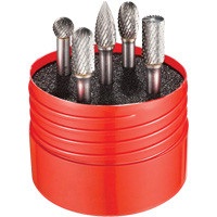 Double Cut Rotary Burr Set, 5 Pieces PB Rental Co. Ltd.