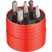 ST Cut Rotary Burr Set, 5 Pieces PB Rental Co. Ltd.