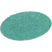 Roloc Green Corps Abrasive Disc, 2" Dia., 80 Grit, Aluminum Oxide PB Rental Co. Ltd.