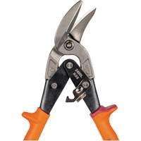 Compound Action Snips PB Rental Co. Ltd.