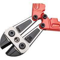 High Leverage Compound Bolt Cutter, 14" L, Center Cut PB Rental Co. Ltd.