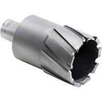 Outil de coupe annulaire, Diam&egrave;tre de 27,5 mm, Carbure, Profondeur de la coupe de 4" PB Rental Co. Ltd.