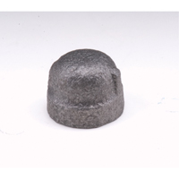 Cap, 1/4", Malleable Iron PB Rental Co. Ltd.