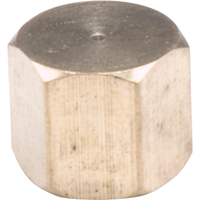 Pipe Caps, Brass PB Rental Co. Ltd.