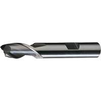 HG-2 Finishing End Mill, 5/16"/0.3125" Dia., 3-1/8"/79.38 mm L, 2 Flutes, 3/8"/9.52 mm Shank, High Speed Steel PB Rental Co. Ltd.