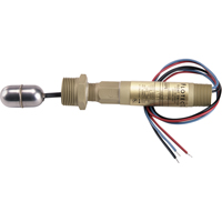 Flow Switches