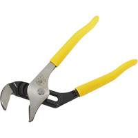 Pinces multiprise, 10" PB Rental Co. Ltd.