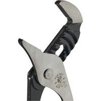 Pinces multiprise, 10" PB Rental Co. Ltd.