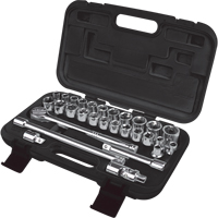 SAE/Metric Socket Set, 29 Pcs, 1/2" Drive Size PB Rental Co. Ltd.