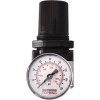 R&eacute;gulateurs, 1/4" NPT, PSI max. de 150 psi, Modulaire PB Rental Co. Ltd.