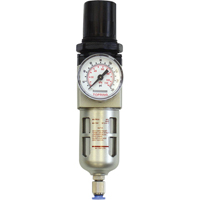 Filtreur/r&eacute;gulateur modulaire, 1/4" NPT, 150 psi, Capacit&eacute; de 0,5 oz liq. PB Rental Co. Ltd.