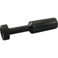 P.t.c. Plug PB Rental Co. Ltd.