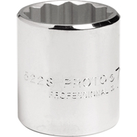 12 Point Socket PB Rental Co. Ltd.