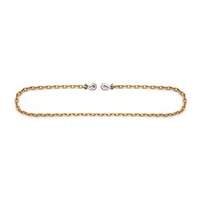 Binder Chain with Clevis Grab Hooks PB Rental Co. Ltd.