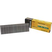 Brad Nails PB Rental Co. Ltd.