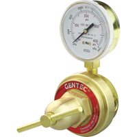 Medium-to-Heavy-Duty Pipeline Regulator, Propane, 1/4" NPT(F) Port Inlet PB Rental Co. Ltd.
